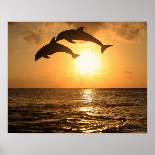 デルフィン3 ポスター (正面)