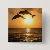 デルフィン3 缶バッジ (正面)