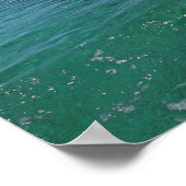 デルフィン、デルフィン、グロサーチュームラー、ターチョップ4 ポスター (角)