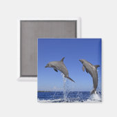 デルフィン、デルフィン、グロサーツームラー、ターチョップ3 マグネット (正面/裏面)