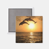 デルフィン、デルフィン、グロサーツームラー、ターチョップ マグネット (正面/裏面)