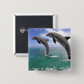 デルフィン 缶バッジ (正面&裏面)