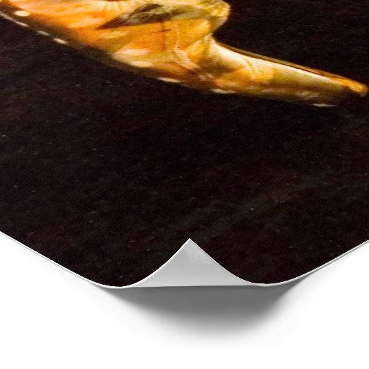 デルフィン–4653 ポスター (角)