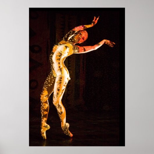 デルフィン–4653 ポスター (正面)