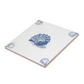 デルフトの貝のコーナーが付いている螺線形の貝のタイル タイル (側面)