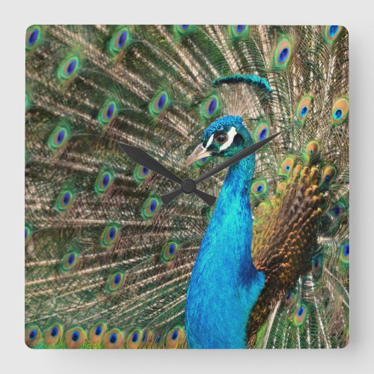 デルブラウプファウ スクエア壁時計 (正面)