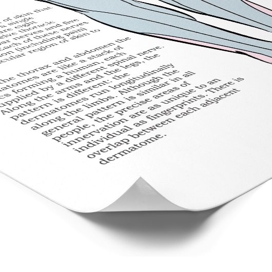 デルマトーム警報バック舒淇鍼治療ポイントチャート ポスター (角)