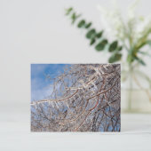 デルマーループ12月 ポストカード (スタンド正面)