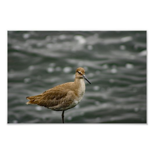 デル遊レイ フォトプリント            (正面)