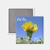 デル・リオテキサス州お土産の黄色いサボテンの花。 マグネット (正面/裏面)