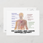 デング熱があるように見える?(解剖学) ポストカード (正面/裏面)