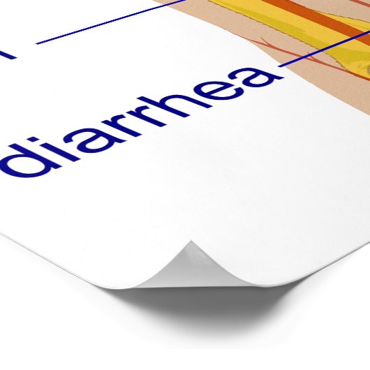 デング熱の主な症状の図 ポスター (角)