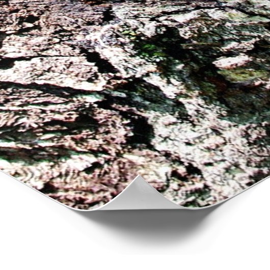 デントレイクン ポスター (角)