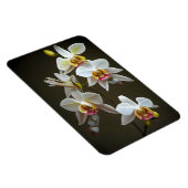 デンドロビウムのラン マグネット (右側)