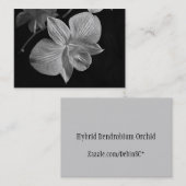 デンドロビウムの蘭の花ATCカード 名刺 (正面/裏面)