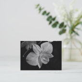 デンドロビウムの蘭の花ATCカード 名刺 (スタンド正面)