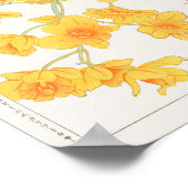 デンドロビウム中国アスターby谷上香南 ポスター (角)