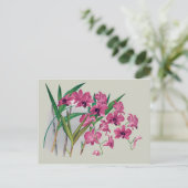 デンドロビウム蘭フローラはがき ポストカード (スタンド正面)