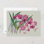 デンドロビウム蘭フローラはがき ポストカード (正面/裏面)