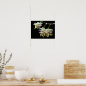 デンドロビウム・アメジストグロスム ポスター (キッチン)