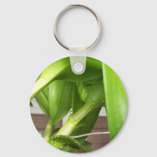 デンドロビウム・オーキッドの茎がクローズアップ キーホルダー