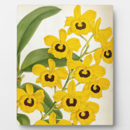 デンドロブリウムサビシムムヴィンテージリンデニアオーキッド フォトプラーク