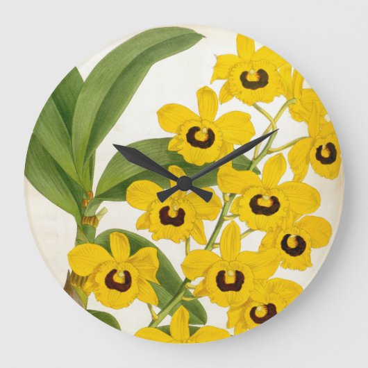 デンドロブリウムサビシムムヴィンテージリンデニアオーキッド ラージ壁時計 (正面)