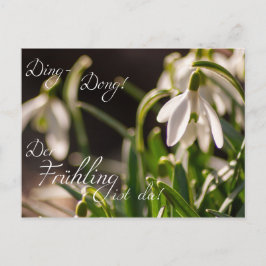 デンドン！デール・フリングのリスト・ダ！ ポストカード