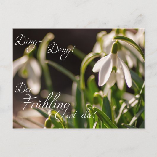 デンドン!デール・フリングのリスト・ダ! ポストカード (正面)