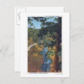 デンバーマウンテンパークCO – ベアークリークキャニオン ポストカード (正面/裏面)