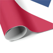 デンバー国旗（コロラド州，米国） ラッピングペーパー (ロールコーナー)