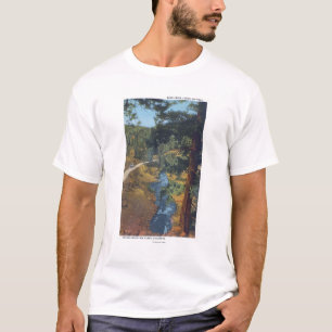 デンバー山公園、共同くまの入り江渓谷 Tシャツ