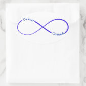 デンバーCOインフィニティステッカー 楕円形シール (バッグ)