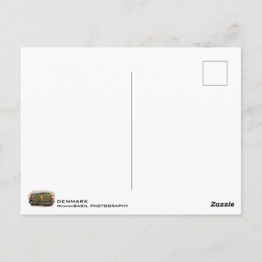 デンマークのカラフルな牛のポストカード! ポストカード (裏面)