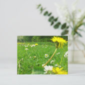 デンマークのフィールド ポストカード (スタンド正面)