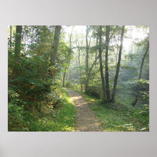 デンマークの森林のパス ポスター (正面)