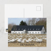 デンマークの美しいコウテンチョウのポストカード！ ポストカード (正面/裏面)