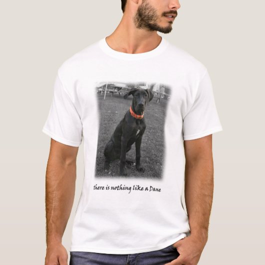 デンマーク人のような何もありません Tシャツ (正面)
