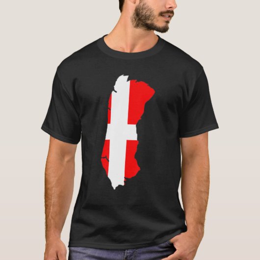 デンマーク国旗ロメ概要ロメ Tシャツ (正面)