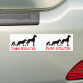 デンマーク犬の進化 バンパーステッカー (車上)