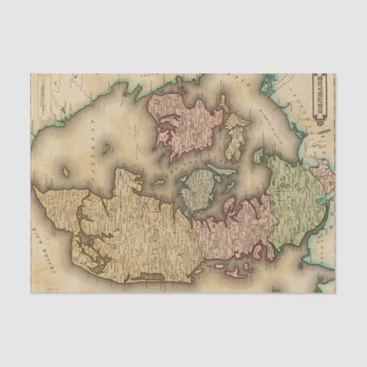 デンマーク2 薄葉紙 (正面)