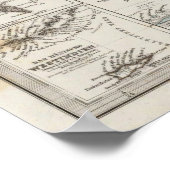 デンマーク・アトラス地図5つのインセットマップ ポスター (角)