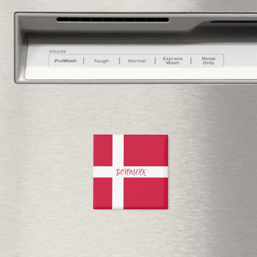 デンマーク マグネット (インサイチュ (食洗機))