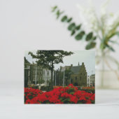 デン・ハーグの中世の刑務所に花が咲く ポストカード (スタンド正面)