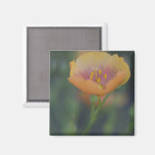 デヴィンテキサス州州南部35 マグネット (正面/裏面)