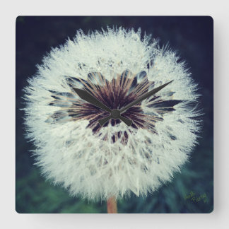 デヴィーDandelion時計…時計! スクエア壁時計
