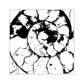 デヴォンシャーのアンモナイト化石スパイラル ラバースタンプ (インプリント)