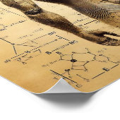 データシートにスーパーインポーズされたヒューマノイド ポスター (角)