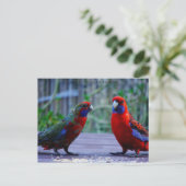 デートすること時間 ポストカード (スタンド正面)