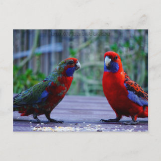 デートすること時間 ポストカード